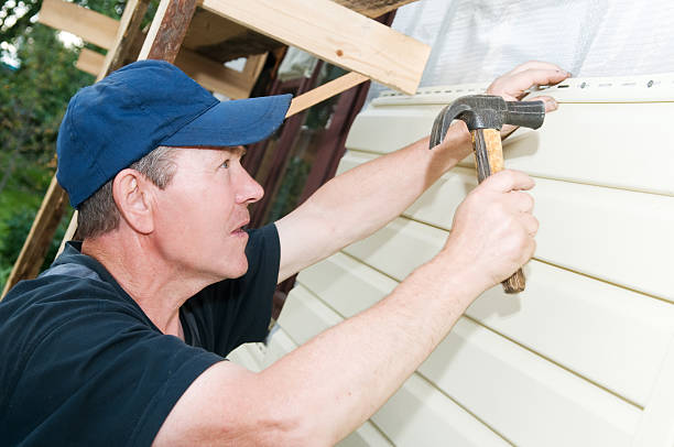 Best Insulated Siding Installation  in Ogden, UT